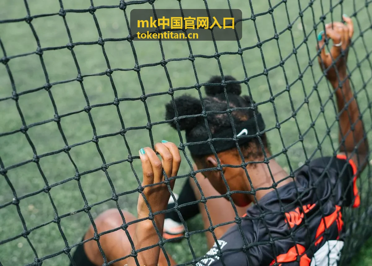 mk中国官网入口指引页面展示的入口核对场景