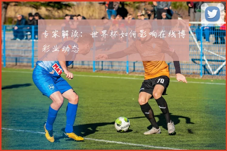 专家解读:世界杯如何影响在线博彩业动态