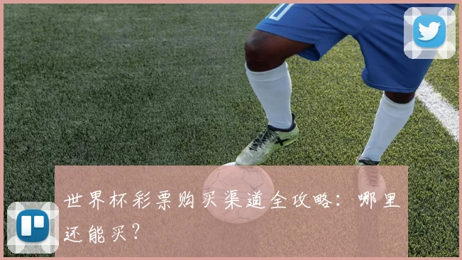 世界杯彩票购买渠道全攻略:哪里还能买?