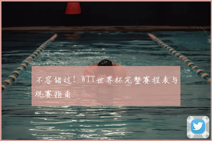 不容错过!WTT世界杯完整赛程表与观赛指南