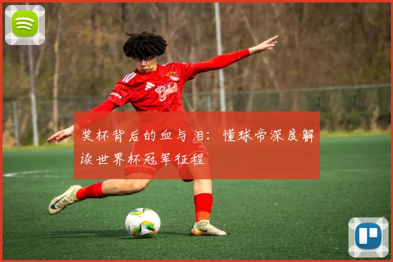 奖杯背后的血与泪：懂球帝深度解读世界杯冠军征程