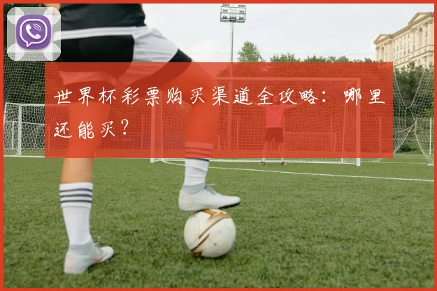 世界杯彩票购买渠道全攻略:哪里还能买?
