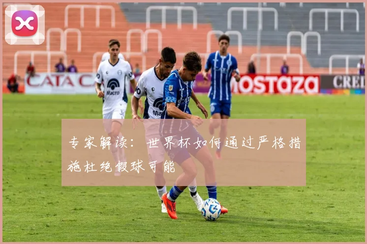 专家解读:世界杯如何通过严格措施杜绝假球可能